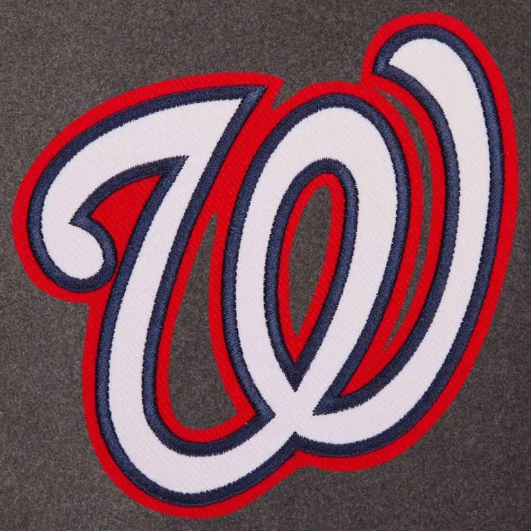 Washington Nationals Charcoal Wool & Navy Blue Leather Sleeves Varsity Men's Jacket