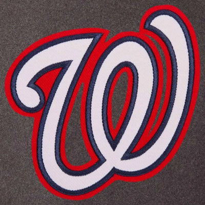 Washington Nationals Charcoal Wool & Navy Blue Leather Sleeves Varsity Men's Jacket